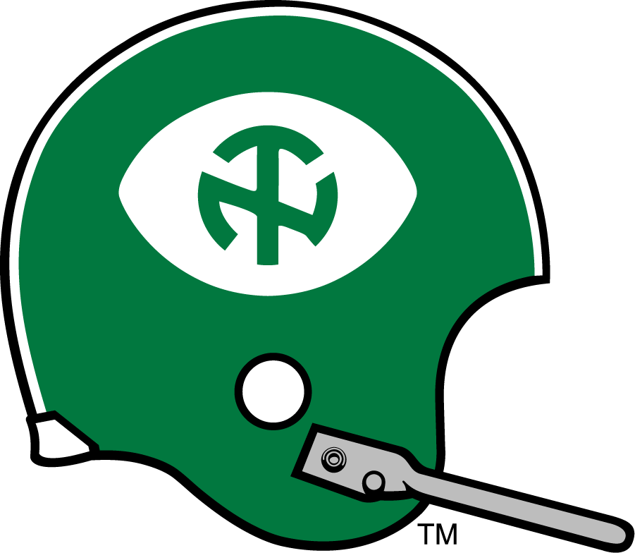 North Texas Mean Green 1968-1971 Helmet DIY iron on transfer (heat transfer)